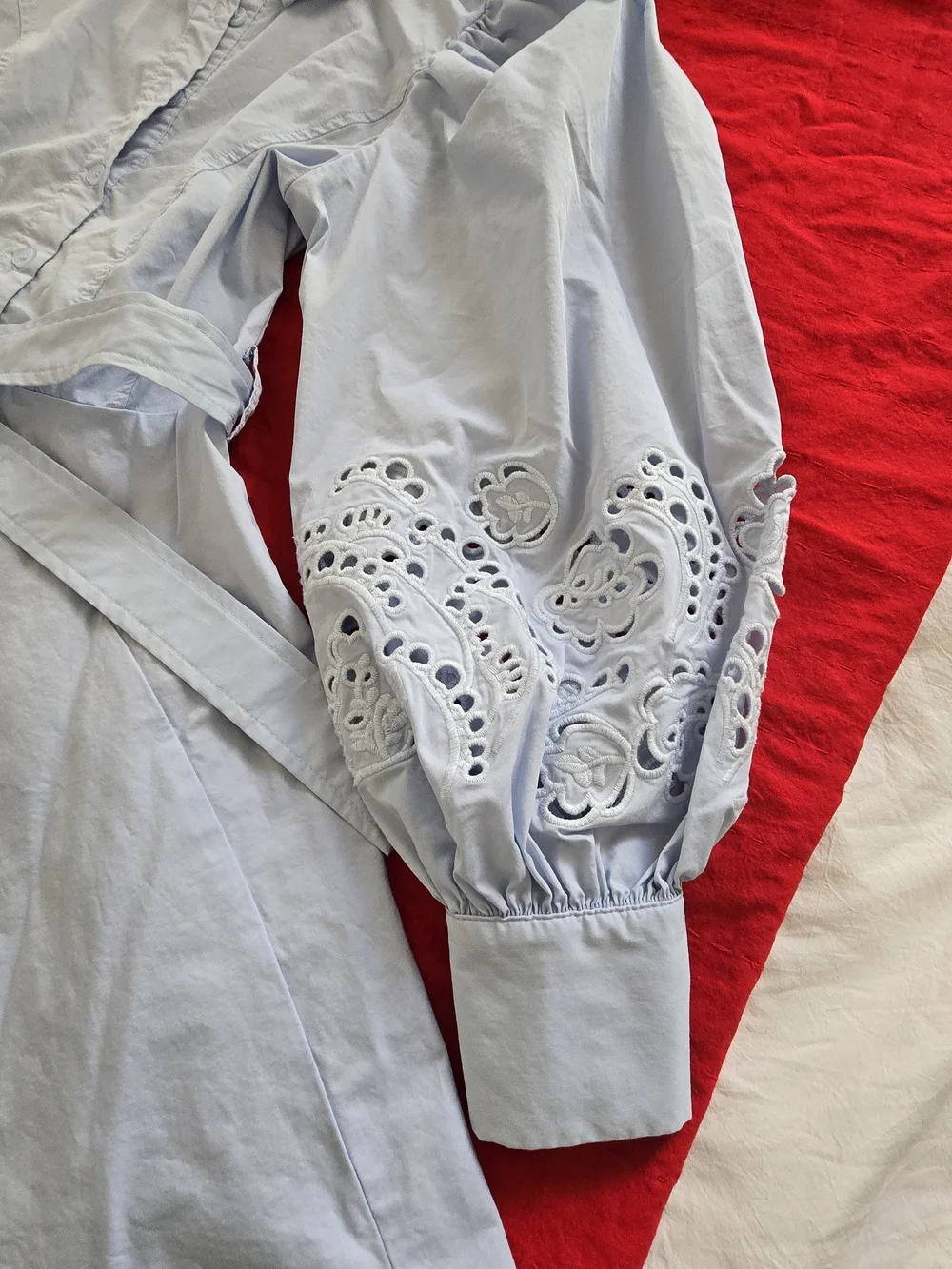 Light Blue Embroidered Balloon Sleeve Blouse